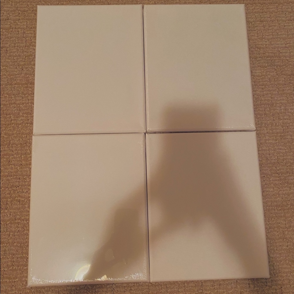Paint Canvas